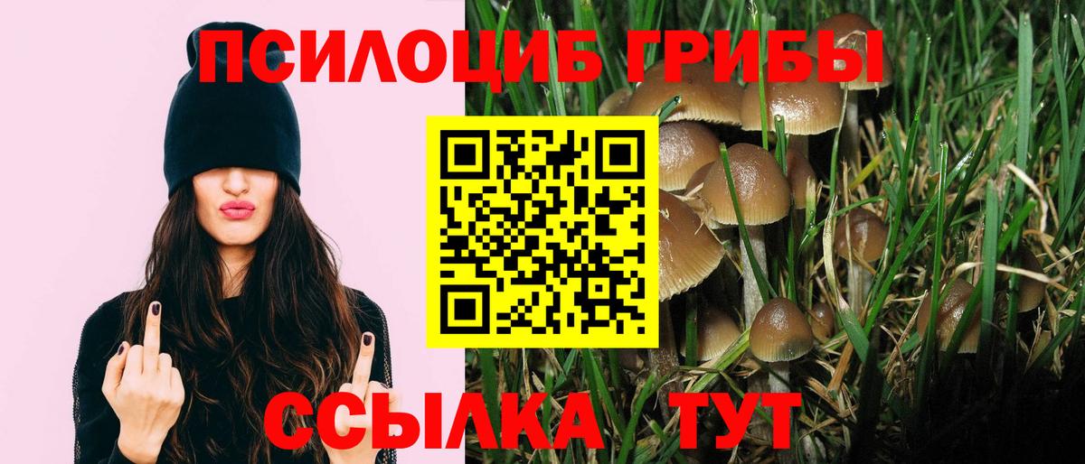 Галлюциногенные грибы мицелий Казань