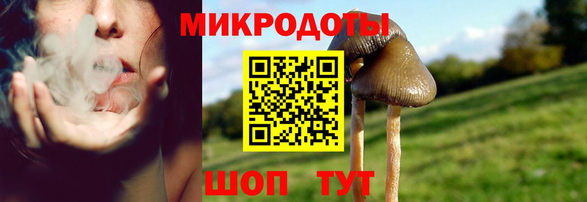 Псилоцибиновые грибы мухоморы  Вход с VPN  Казань 